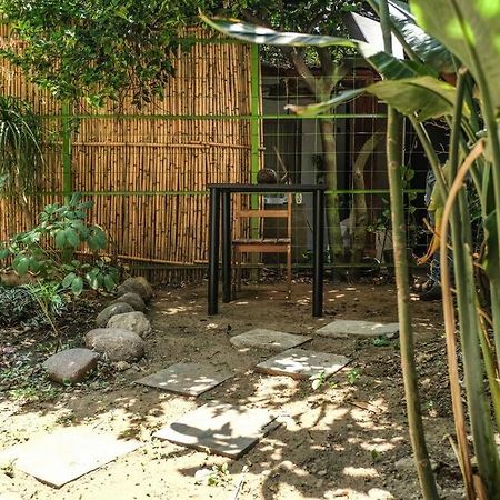 Chill Green Beautiful Downtown Area Tv Good Wifi Oaxaca ภายนอก รูปภาพ
