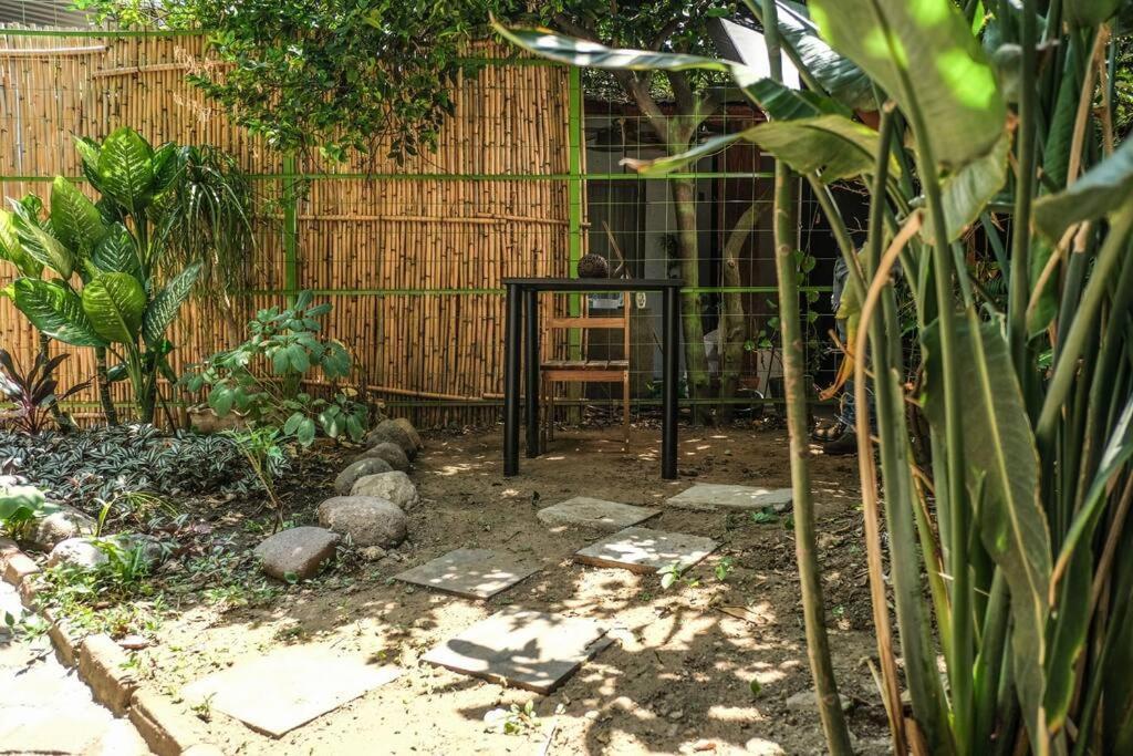 Chill Green Beautiful Downtown Area Tv Good Wifi Oaxaca ภายนอก รูปภาพ