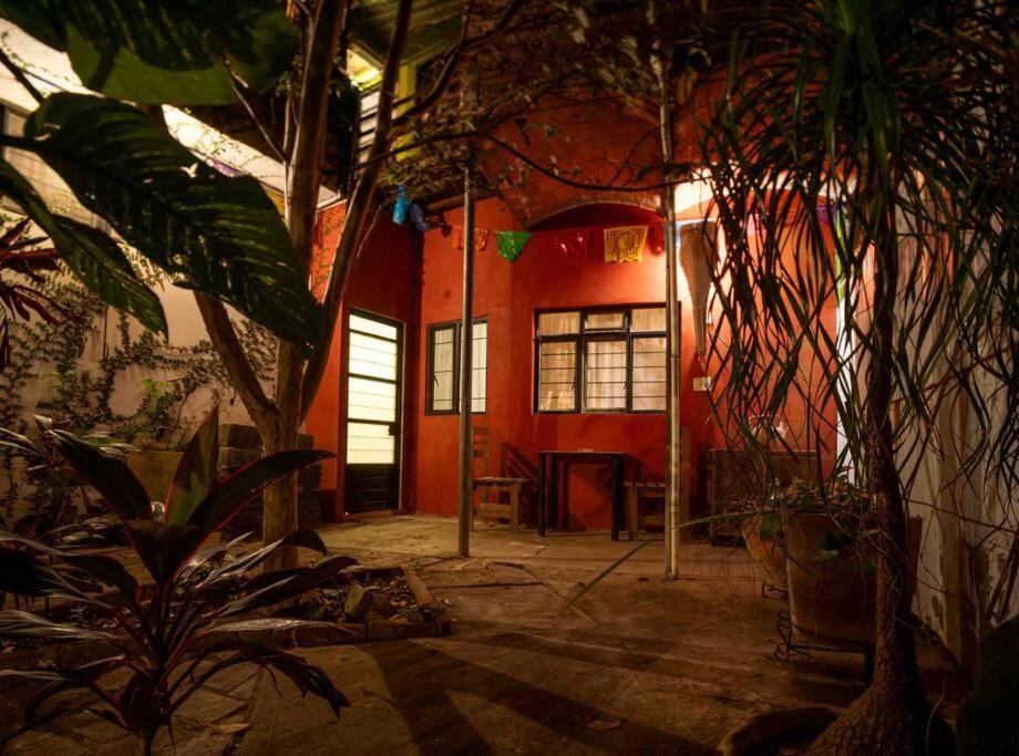 Chill Green Beautiful Downtown Area Tv Good Wifi Oaxaca ภายนอก รูปภาพ